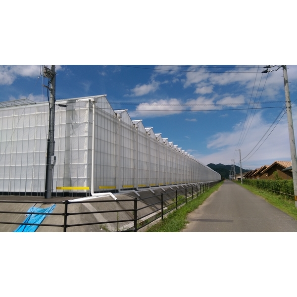 溫室設計-綠能溫室工程有限公司