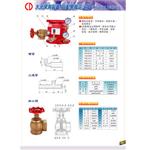 自動警報逆止閥組-世勝防災設備工程有限公司