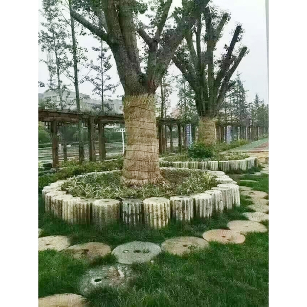 石柱03