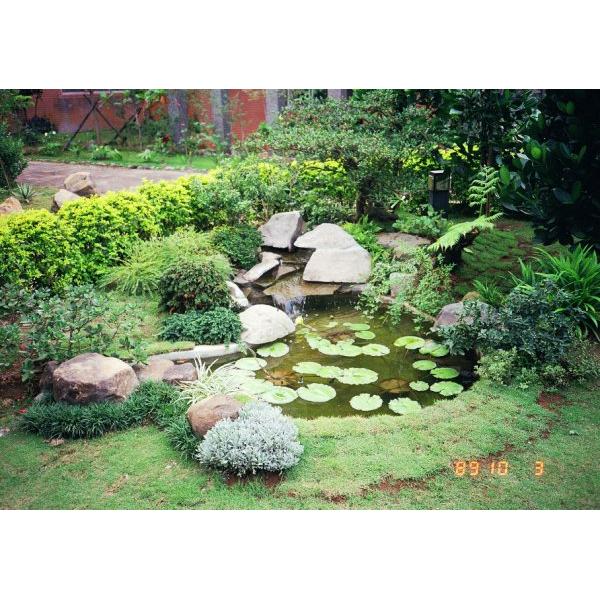 平地式水池