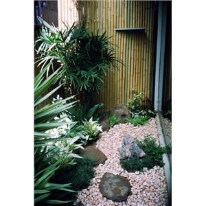 角落花圃-柏澄企業社