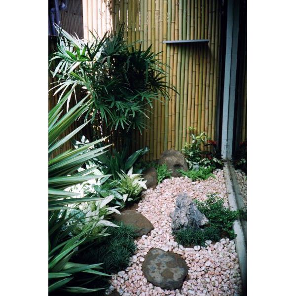 角落花圃