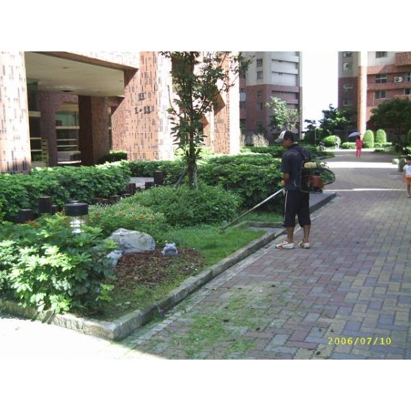 社區中庭養護