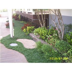 頂樓花園-柏澄企業社