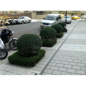 花台工程-柏澄企業社