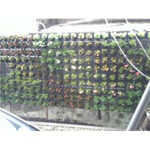 花台工程-柏澄企業社