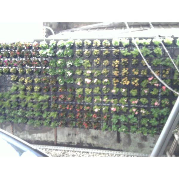 花台工程