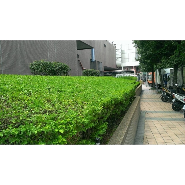 商業大樓養護-柏澄企業社