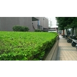 商業大樓養護
