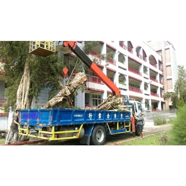 樹木移值-雲隆企業行
