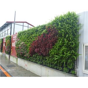 造型綠牆-暄品設計工程顧問有限公司