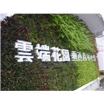 造型綠牆-宅良工程有限公司