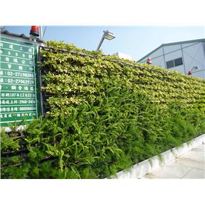 造型綠牆-暄品設計工程顧問有限公司