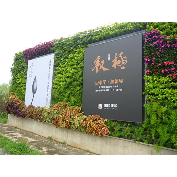 造型綠牆