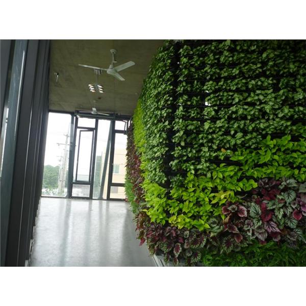龍潭廠辦-室內植生墻01-宅良工程有限公司