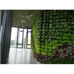 龍潭廠辦-室內植生墻01