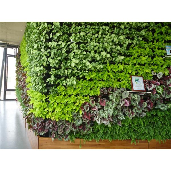 龍潭廠辦-室內植生墻工程-宅良工程有限公司