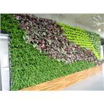 龍潭廠辦-室內植生墻工程