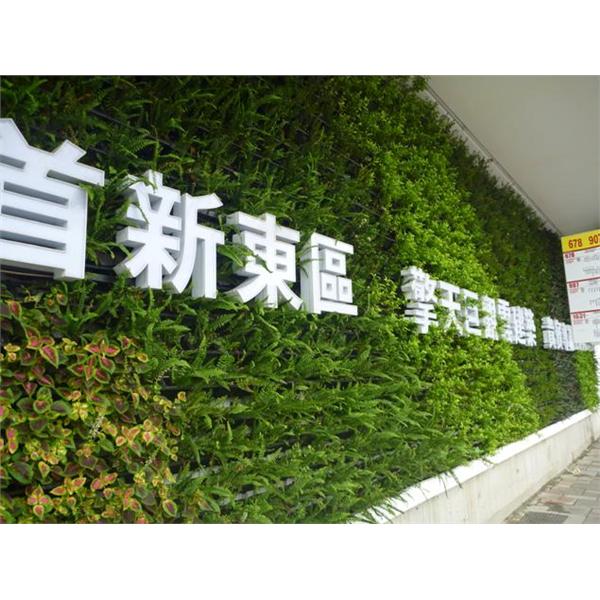 汐止植生墻工程 汐止植生墻工程