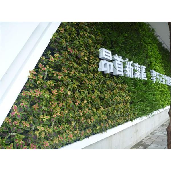 汐止植生墻工程-宅良工程有限公司