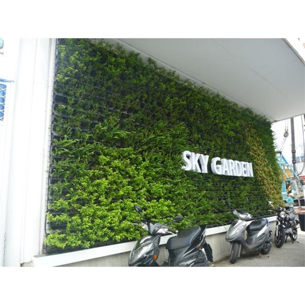 汐止植生墻工程 汐止植生墻工程