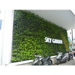 汐止植生墻工程