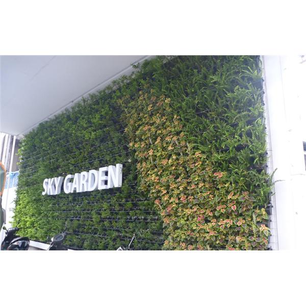 汐止植生墻工程 汐止植生墻工程