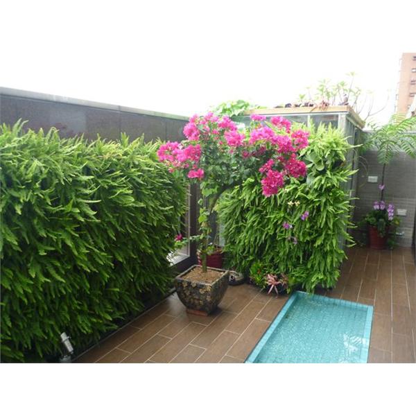 空中花園工程 空中花園工程
