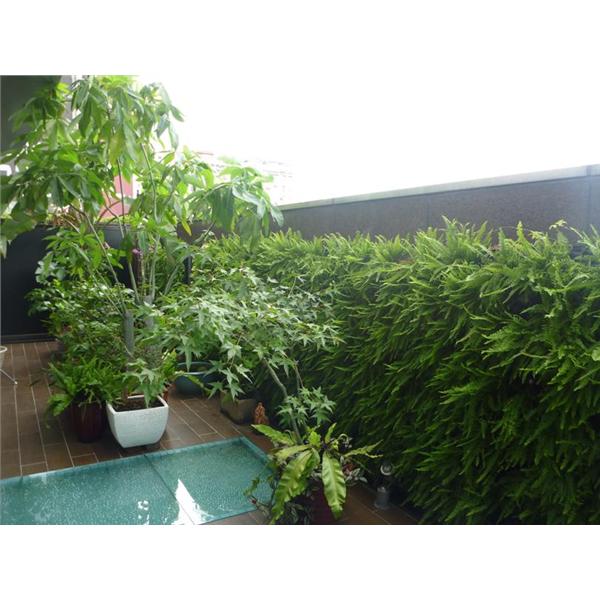 空中花園工程 空中花園工程