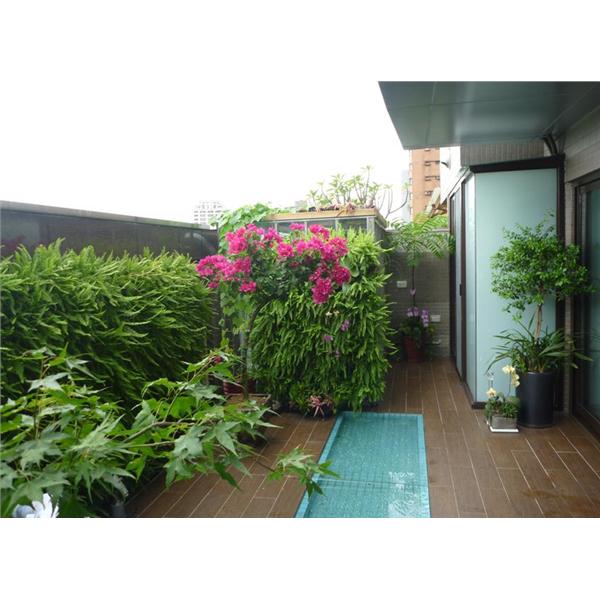 空中花園工程 空中花園工程