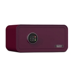 Falcon Safe：D-23-億保實業有限公司