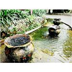 水池造景