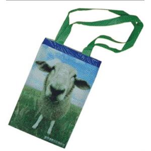 環保提袋-佳視達數位印刷有限公司