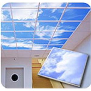 彩繪天花板-佳視達數位印刷有限公司