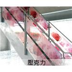 佳視達.1