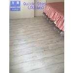 QS寬板LPU1660
