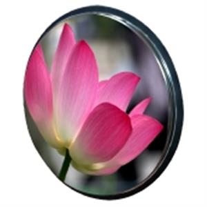 SHS-60P不鏽鋼防盜鏡-旭宏國際有限公司