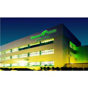 20110313125254340-騰森輪胎