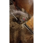 地下室湧泉止漏