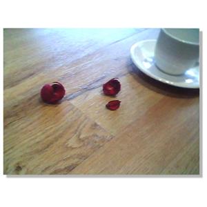 98229-6 白楓木紋-博陵國際有限公司