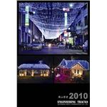 2010旗山燈會 - 邁向新企業有限公司