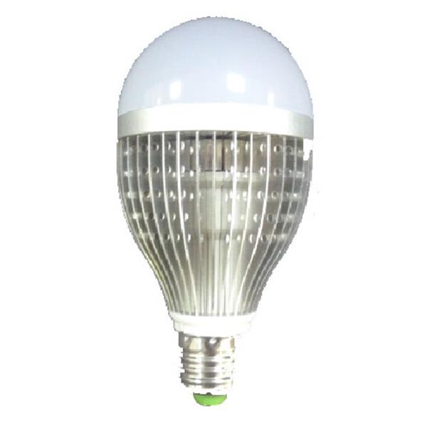 LED燈泡(13W)
