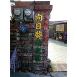 019-大屏東廣告