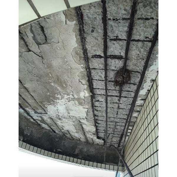 鋼筋外露處理工程-鑫瑋工程有限公司