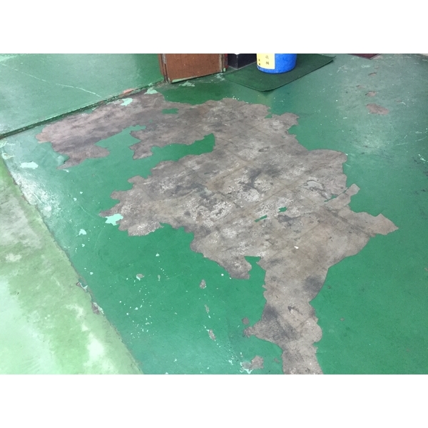 塗料地板-美石樂有限公司