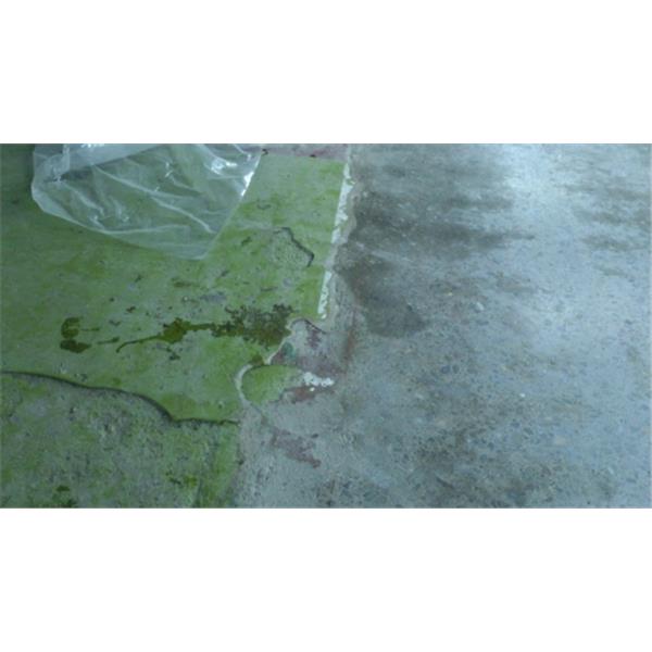 老舊epoxy地坪磨除後的交界-美石樂有限公司