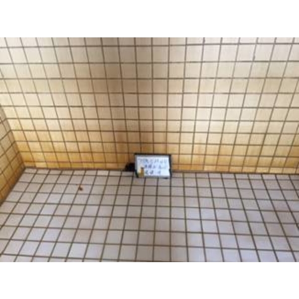 水塔清洗中 水塔清洗中