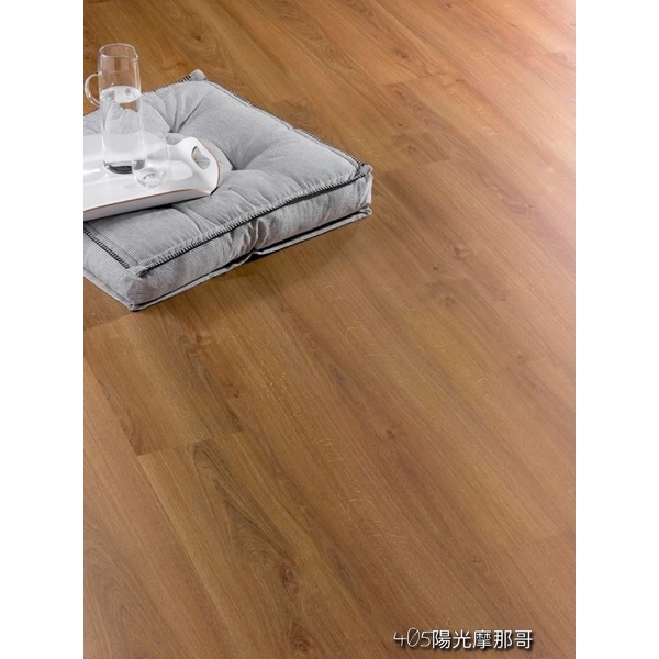 405陽光摩那哥