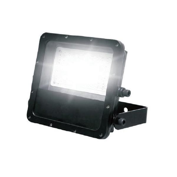 LED投射燈60W