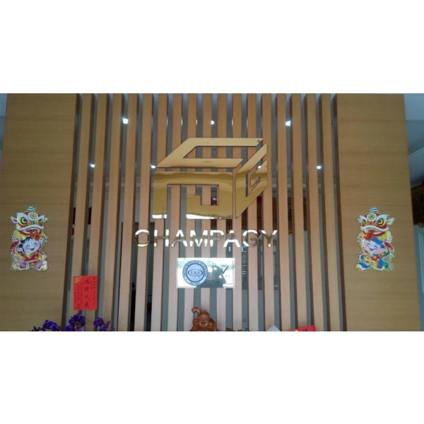 平面鈦金字 平面鈦金字